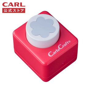 yz~hTCY Ntgp` rJ CarlaCraft CARL J[ XgA