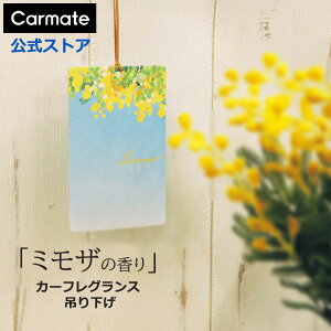  F ~U J[Cg H1822 [m nMO ~U J[tOX ݂艺 Lܔz LUNOi[mj   carmate