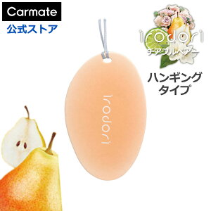  F `At yA[ J[Cg H1843 Ch nMO tOX `AtyA[ 3 Zbg ݂艺 ԗpF F L z carmate