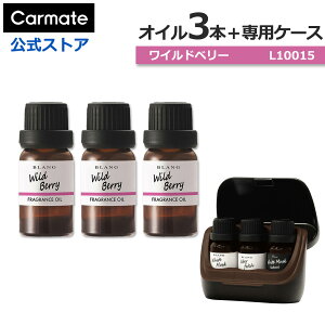  F IC P[X Chx[ 4_ Zbg J[Cg L10015 × 3{ L10502 × 1  fBt[U[ p IC  F carmate (R80)