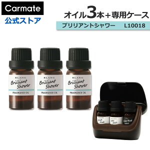  F IC P[X uAgV[ 4_ Zbg J[Cg L10018 × 3{ L10502 × 1  fBt[U[ p IC  F carmate (R80)