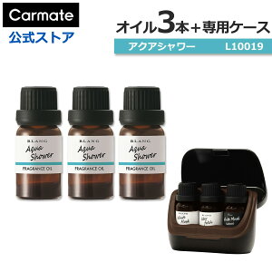  F IC P[X ANAV[ 4_ Zbg J[Cg L10019 × 3{ L10502 × 1  fBt[U[ p IC  F carmate (R80)