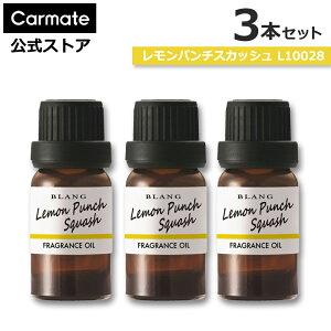  F XJbV 3{Zbg J[Cg L10028 × 3{ uO fBt[U[p tOX IC  p` XJbV fBt[U[ p IC  F carm