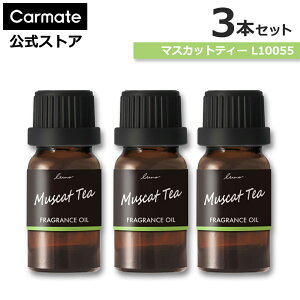  F }XJbg eB[ 3{Zbg J[Cg L10055 × 3{ [m fBt[U[p tOX IC }XJbgeB[ fBt[U[ p IC  F carmate 