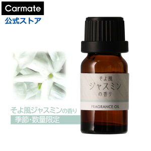 y2{őz  F 敗 WX~ ̍ Gߌ J[Cg L10303  fBt[U[ p tOXIC G߂̍ fBt[U[ IC 7ml 1{ carmate