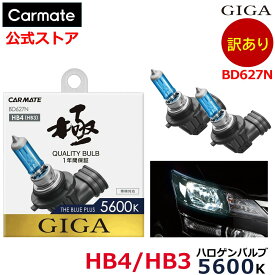訳あり 車 ハロゲンバルブ 極青光 5600K カーメイト BD627N ザ・ブループラス 5600K 明るさ感 110wクラス バルブ形式 HB4 HB3 ドレスアップ 鋭い青さ リレーハーネス不要 樹脂レンズ対応 carmate (R80)