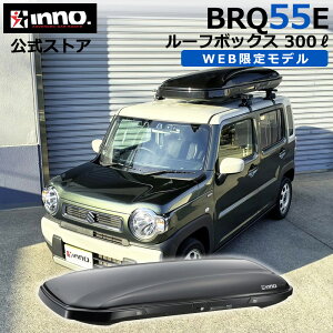 �� ���[�t�{�b�N�X WEB����J���[ BRQ55E �C�m�[ ���[�t�{�b�N�X 55 �u���b�N �e�� 300L �ЊJ�� �N�C�b�N�N�����v ���t�� ���[�t�{�b�N�X ��e�� ���[�t�L�����A inno �L�����A �A�^�b�`�����g ca