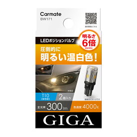 車 LEDライト バルブ GIGA ギガ カーメイト BW171 LEDポジションバルブ S300T ST LINE