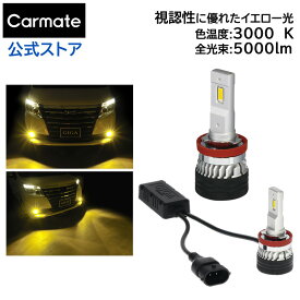 車 LED フォグランプ イエロー光 BW5151 GIGA LEDフォグバルブ F5000S 3000K H8/H11/H16 5000lm 消費電力22W 電圧DC12V 3年間保証 車検対応 取付用パーツ付 giga carmate カーメイト