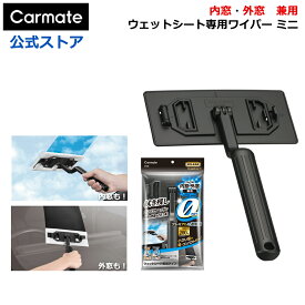 車 フロントガラス ガラス 内窓 外窓 掃除 クリーナー カーメイト C189 エクスクリア プレミアム ウェットシート 専用 ワイパー ミニ carmate (R80)