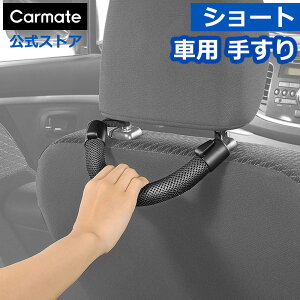 ԗp 肷  㕔 J[Cg CD28 Obv 炳^Cv ubN S  carmate