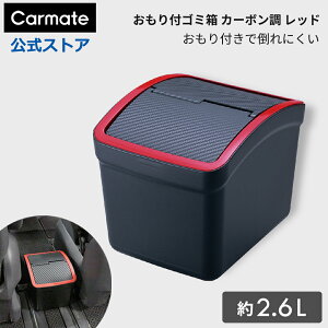 S~ J[Cg DZ309 tS~ J[{bh t^t J[pi _Xg{bNX carmate (R80)