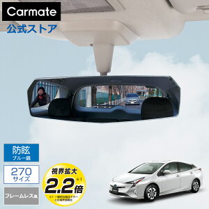 [~[  J[Cg DZ446 r[~[ GbW 3000SR 270mm u[ obN~[ Ch~[ carmate (R80)