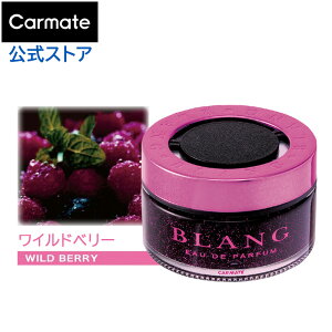  F Chx[ J[Cg FR920 uO O}X  F u^ [[ ԗpF J[tOX L z LF carmate