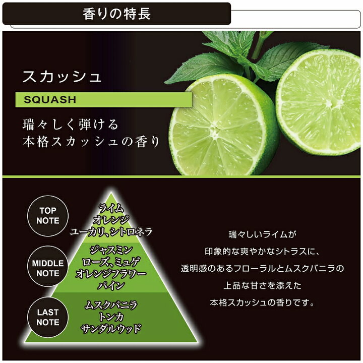 楽天市場 カーメイト 車 芳香剤 G1356 ブラング ブースター サンバイザー スカッシュ Carmate カーメイト 公式オンラインストア