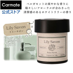  F T{ ǂ  [ T{ G1962 bNX T{ [T{ ̂zCg[̍ł carmate