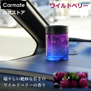 車 芳香剤 おしゃれ ワイルドベリー G1982 ブラング ゲルラージ エモーショナリー 車用芳香剤 ゲル 芳香剤 消臭剤 配合 カーメイト blang carmate
