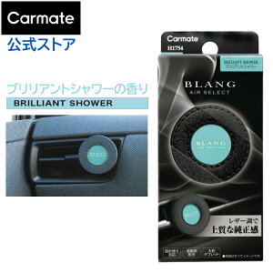 �� �F���� �G�A�R�� �u�����A���g�V�����[ H1754 �u�����O �G�A �Z���N�g �ԗp�F���� �J�[�t���O�����X ���L�ܔz�� �G�A�R�� �����o���� �N���b�v ������� �������� blang carmate