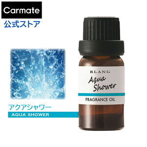 y2{őz  F uO ANAV[ L10019 fBt[U[ptOXIC ԗpF ǂ ɂ blang J[Cg carmate