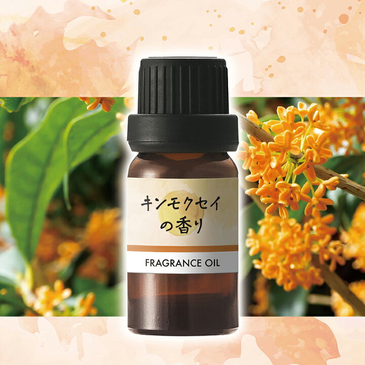 楽天市場 フレグランスオイル 季節の香り キンモクセイ L 秋限定 7ml 1本 噴霧式フレグランスディフューザー専用オイル 車 芳香剤 金木犀 香り カーメイト Carmate カーメイト 公式オンラインストア 楽天市場 フレグランスオイル 季節の香り キンモクセイ L 秋限定 7ml 1本 噴霧式フレグランスディフューザー専用オイル 車 芳香剤 金木犀 香り カーメイト Carmate カーメイト 公式オンラインストア