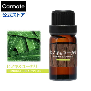 y2{őz  F qmL and [J L10082 fBt[U[pIC Xт̍ ԗpF A} fBt[U[ IC blang luno carmate J[Cg