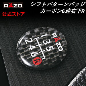 �V�t�g�p�^�[�� RAZO RB13 �p�^�[���o�b�W6�� �E��R 6�� 6MT �}�j���A�� �V�t�g�m�u �A�N�Z�T���[ �J�X�^���p�[�c �J�[���C�g carmate WRX STI ( VAB ) �X�C�t�g�X�|�[�c S660 N-ONE S2000 �V�r�b�N ( FK8 / FL5 )