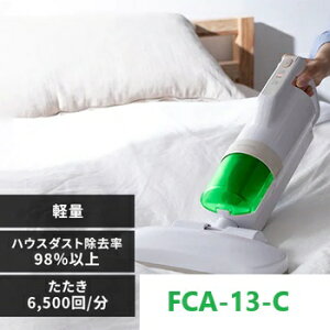 ACXI[}@zcN[i[@FCA-13-C@ӂƂ|@@R[h