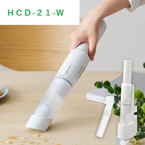 ACXI[}@HCD-21-W@nfBN[i[@zCg@TCN@[d@yʁ@|@