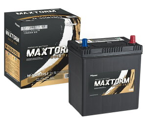 MAXTORM M-55(B20L) �A�C�h�����O�X�g�b�v�ԑΉ� GOLD-ISS �o�b�e���[ ���Y�ԗp �݊� M-42 �_�C�n�c �A�g���[���S��/�E�F�C�N/�^�t�g/�g�[��