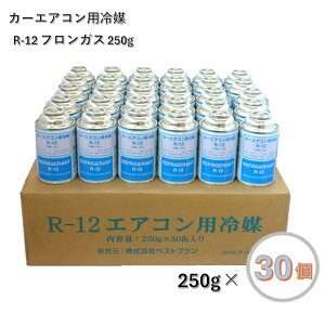 y30Zbg(1P[X)zGAR N[[KX R12 250g J[GARp} xXgv