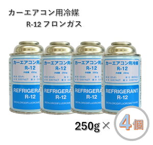 y4ZbgzGAR N[[KX R12 250g J[GARp} xXgv