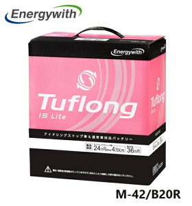 �G�i�W�[�E�B�Y Energywith LTAM42RB20R �A�C�h�����O�X�g�b�v�ԑΉ� �o�b�e���[