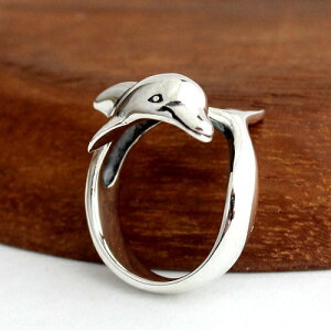 nCAWG[ CJ htBO O w |lVA Y fB[X Vo[925 Vo[O ANZT[ v[g Mtg  a LO