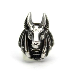 GWvg AkrX WbJ sAX Vo[925 ANZT[   goodvibrations ObhoCu[V