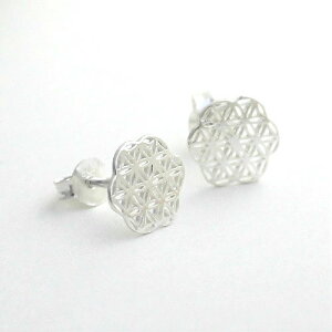 t[IuCt w _􉽊w sAX fB[X Y t[EIuECt ̉ Vo[925 ANZT[ Ԃ p v[g Mtg  a lC  