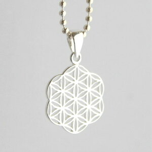 t[IuCt y_g _􉽊w fB[X Y t[EIuECt ̉ Vo[925 ANZT[ y_ggbv ygbv v[g Mtg  a 