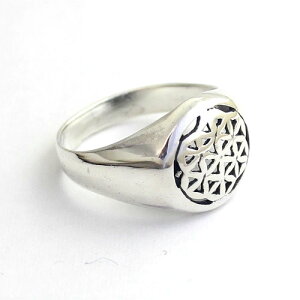 t[IuCt w _􉽊w O fB[X Y t[EIuECt ̉ Vo[925 Vo[ ANZT[ Vv v[g Mtg  a lC 