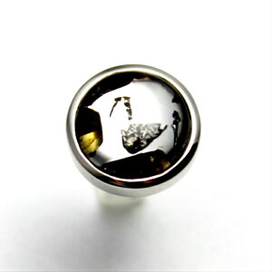 パラサイト 隕石 ピアス レディース メンズ シルバー925 パワーストーン シルバーピアス アクセサリー 宇宙 メテオライト シルバー シンプル プレゼント ギフト お守り 誕生日 人気 おしゃれ