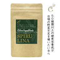 【送料無料】 スピルリナ 100g スーパーフード スピルリナ パウダー 毎日 スムージー 緑黄色野菜 栄養 チ…