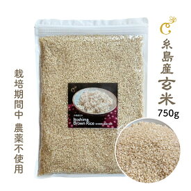 【送料無料】 糸島産玄米 750g 栽培期間中 農薬不使用 自然栽培 国産 無農薬 玄米