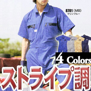 [2瑗]XgCvBI[goC󔼑ciM #8701@S-5Lyo[Q52OFF!!z[RcCEAUTO-BIEciM]