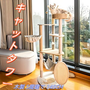 Lbg^[ L^[ ؐ 5K 145CM ˂ Lbg^[  ؐLbg^[ Lbgc[ LbgnEX ؓo ܌ o₷ ^Lp   