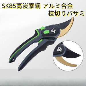 2025lCtEzoT~  ΂ 2iK߉\ SK85Yf| A~ }؂oT~ |nT~ |p͂ Kтɂ yʉA~nh ₷ ʎ  ~
