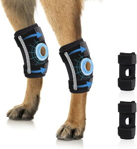 ybg GT|[^[ rK[h֐ߕGpbhGWی⏕nrLxъ֐ߒEPی ybg e[v T|[^[  p e _ ߉\ Xgbv rJo[ pi yb