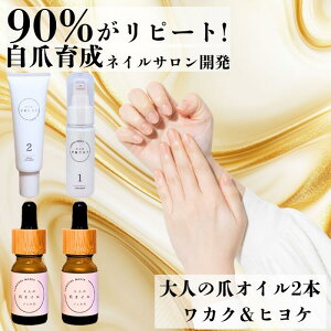 yIC2{{JNEqPzlCIC L[eBNIC nhN[ Ă~ Zbg   蔧 I[KjbN q nhZ nhet  WF  n