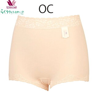 R[@炭Np[gi[hztV[cSEMELTCY@DSL261@SMLݐ[