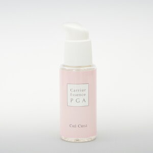 NVF LAGbZXPGA@p@et@ێ@ GXeꔄi GXeeBbNTyGNgpetzy10P03Dec16z