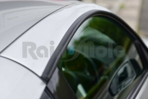 DAYTONA/fCgiyRain Mole(C[)1800 ėpfBtN^[ztFAfBZ Z34