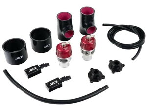 DAYTONA/fCgiyZ1 Motorsports  Turbosmart u[ItouztFAfBZ RZ34