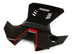 DAYTONA/fCgiynismo North America  CFRP GWJo[ztFAfBZ RZ34